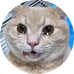 Khách hàng Lý Lệ Tổ